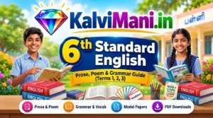 Download Tamil Nadu 6th Standard English study materials, guides, Surya/Dolphin notes, and Term 1, 2, 3 question papers PDF (2026-27).