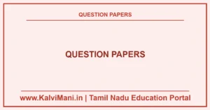 Download Tamil Nadu school question papers and answer keys PDF for Class 6 to 12. Complete collection of 1st Midterm, Quarterly, 2nd Midterm, Half Yearly, 3rd Midterm & Annual Public Exam papers in TM & EM.